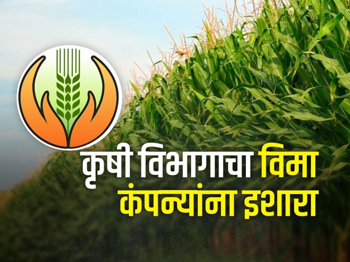 Crop Insurance