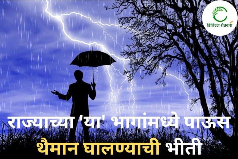 Rain Alert